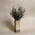 Jarra Dry spring | Bonito