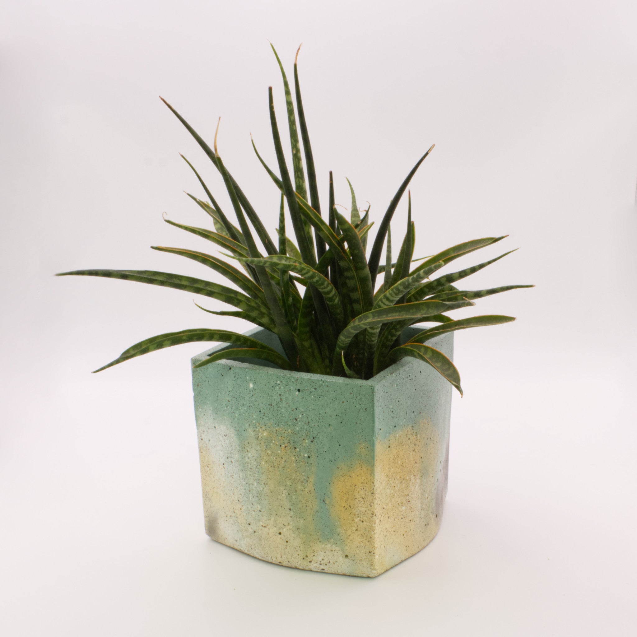 Vaso quadrado grande VABC | Bonito