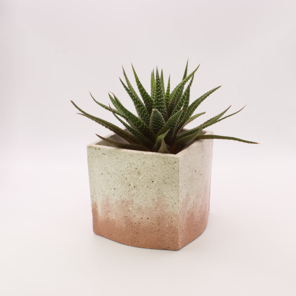 Vaso quadrado grande BRT | Bonito