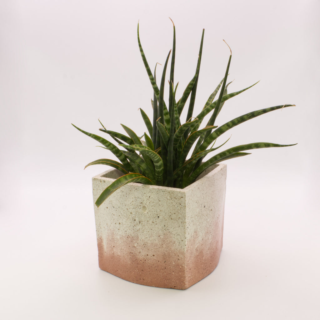 Vaso quadrado grande BRT | Bonito