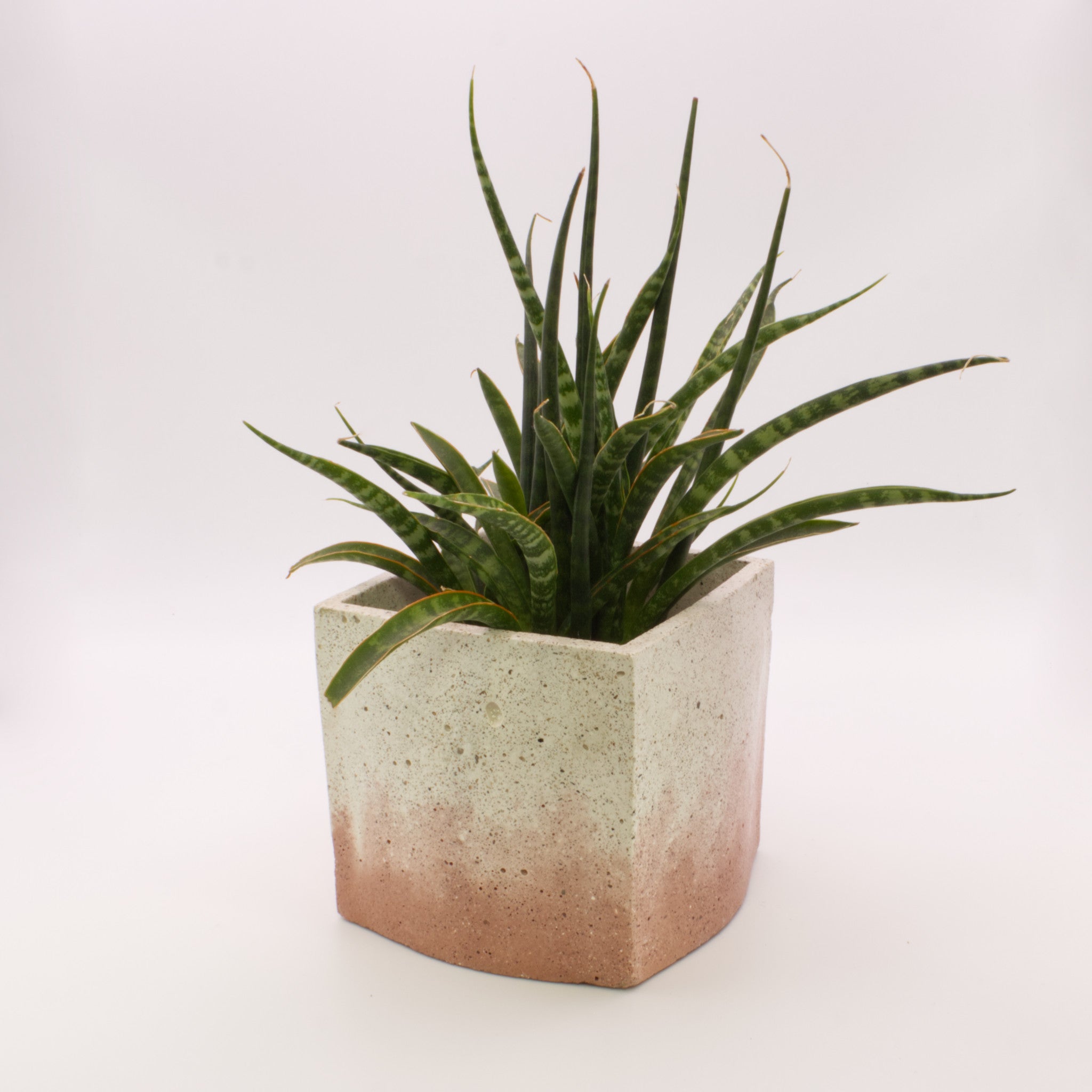 Vaso quadrado grande BRT | Bonito