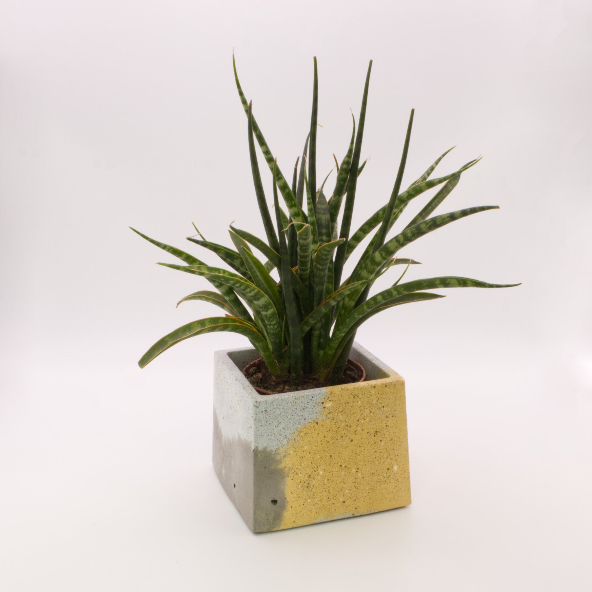 Vaso quadrado pequeno CAA | Bonito