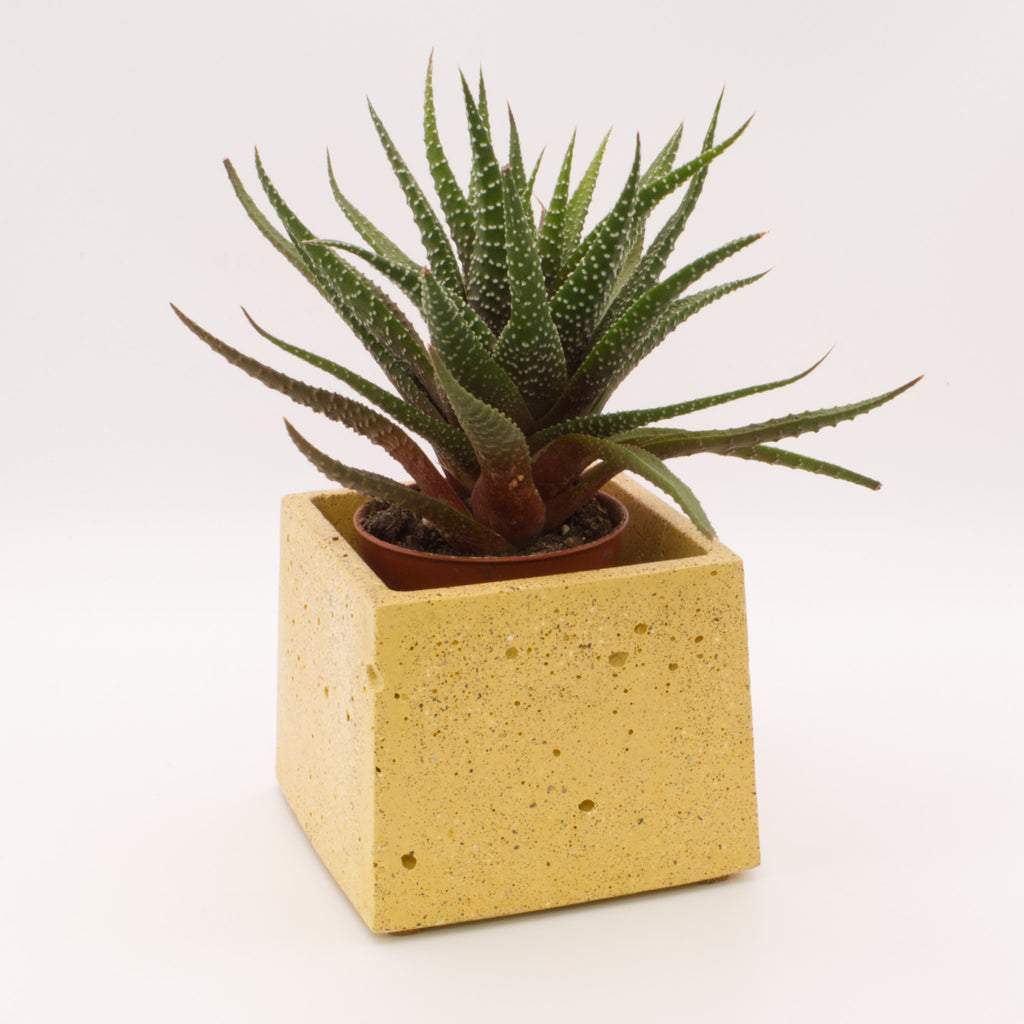 Vaso quadrado pequeno A | Bonito