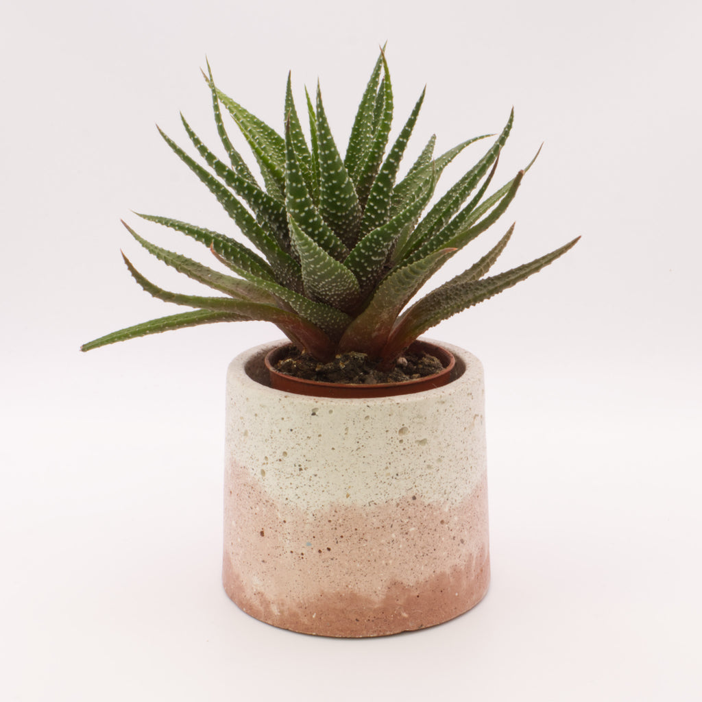 Vaso redondo pequeno BRT | Bonito