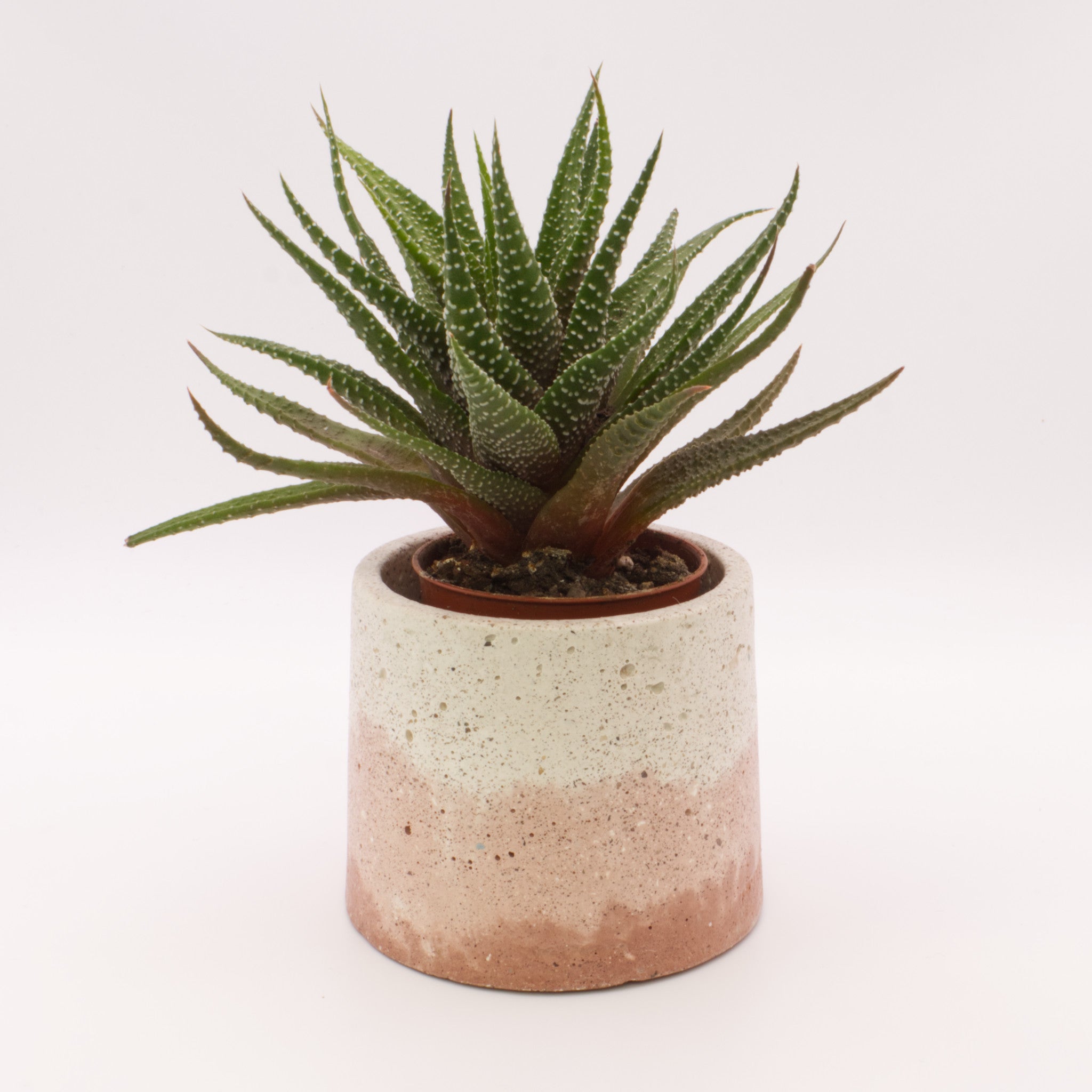 Vaso redondo pequeno BRT | Bonito