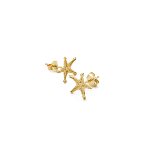 Brincos Asteroidea Micro dourados | Tania Gil Jewelry