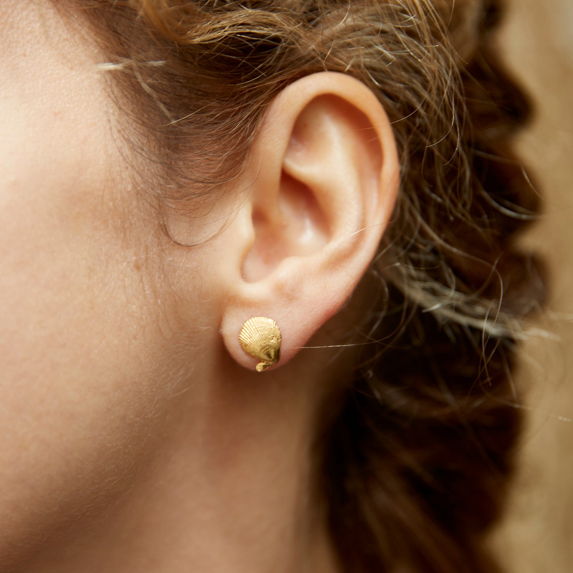 Brincos Vieira Micro dourados | Tania Gil Jewelry