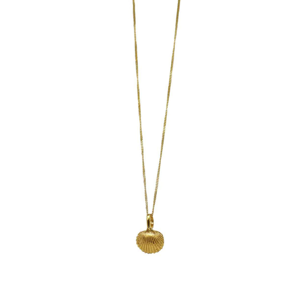 Colar Cardiidae Micro dourado | Tania Gil Jewelry