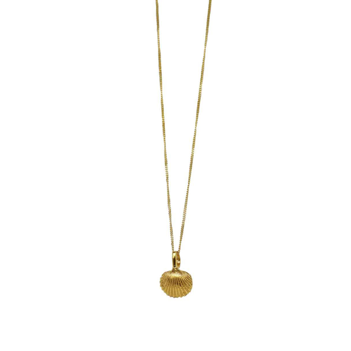 Colar Cardiidae Micro dourado | Tania Gil Jewelry
