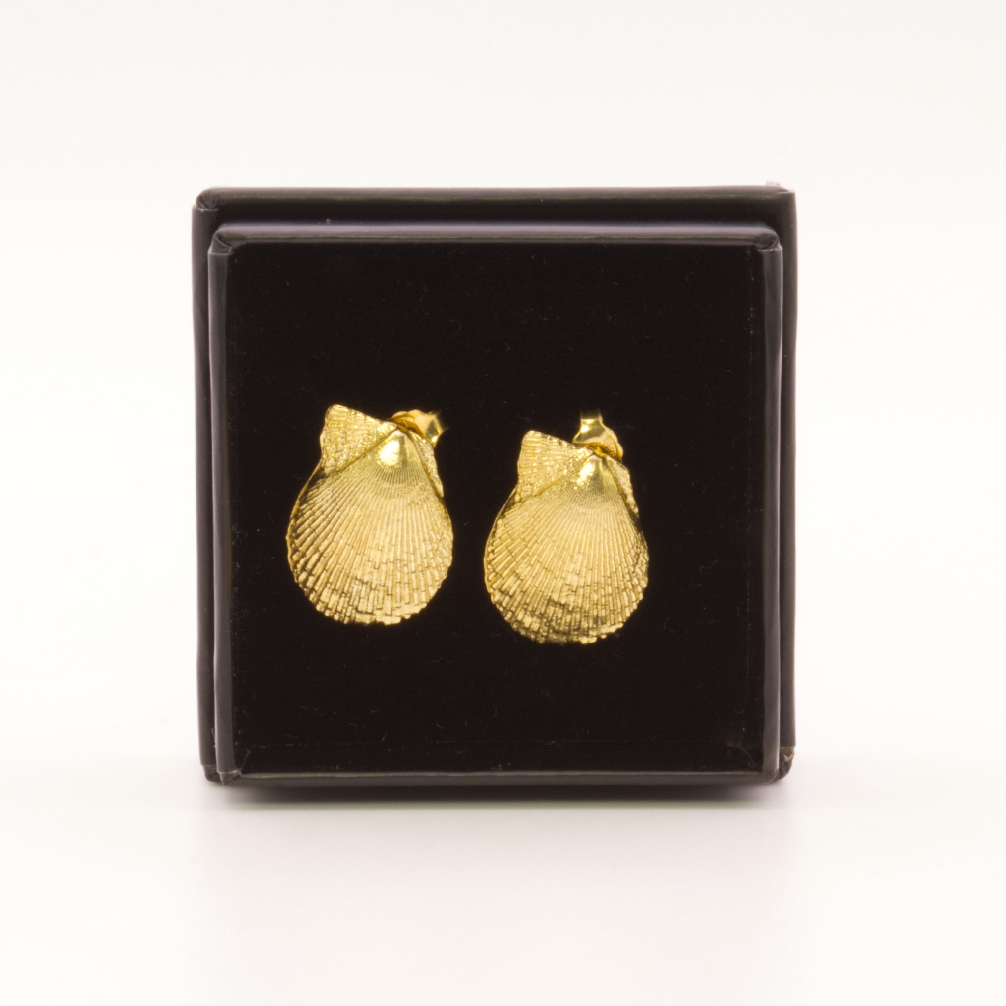 Brincos Vieira Macro dourados | Tania Gil Jewelry