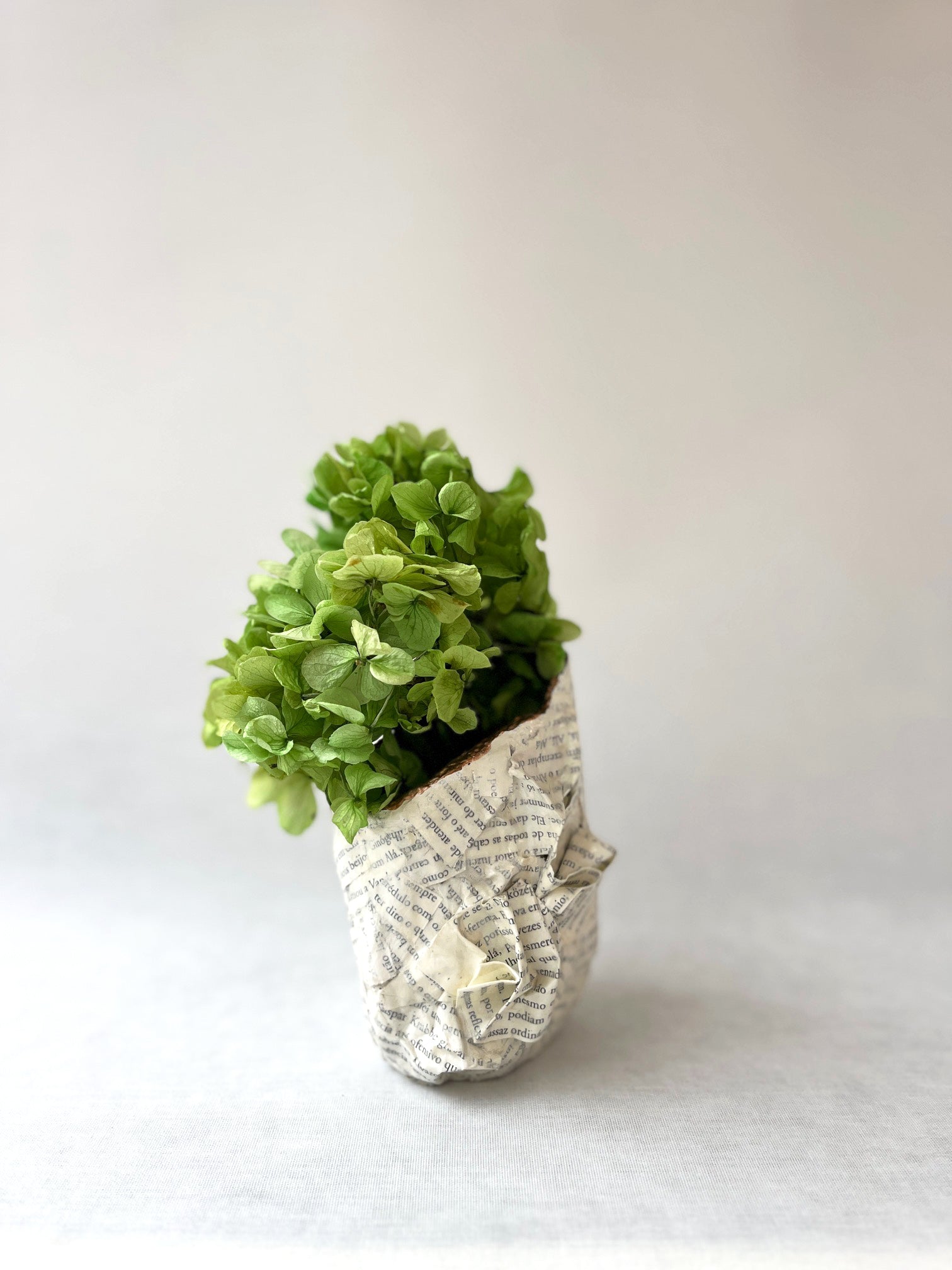 Jarra-Livro | Depois